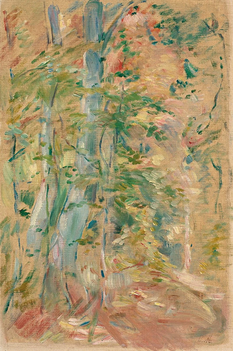 Studio di foresta